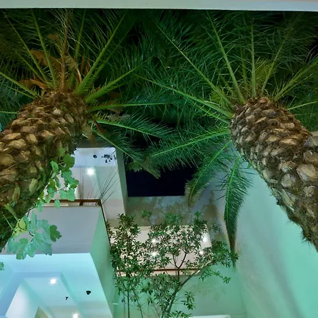 Hotel Anatoli Naxos City