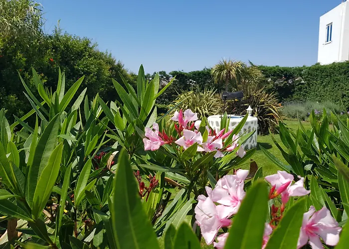 Anatoli Hotel Naxos City