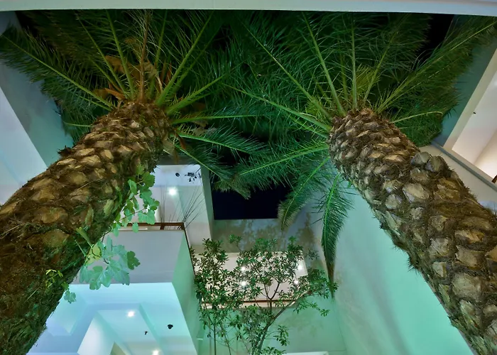 Hotel Anatoli Naxos City