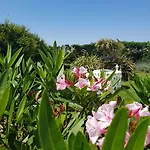 Anatoli מלון Naxos City