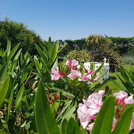 Anatoli Hotell Naxos City